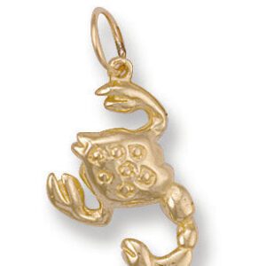 9ct Yellow Gold Scorpio Zodiac Pendant