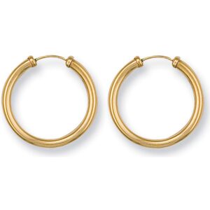Yellow Gold 23mm Caped Sleepers